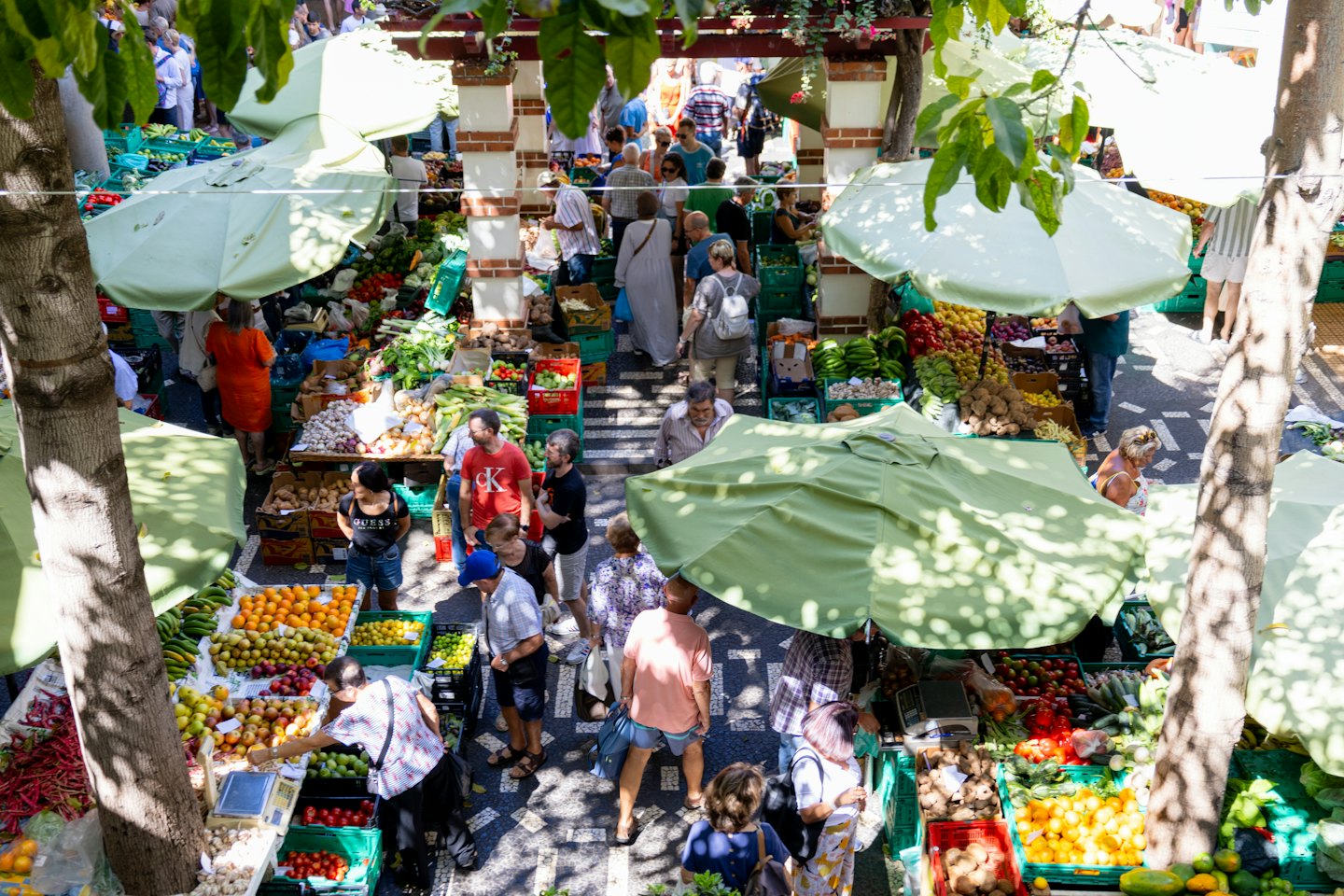 Shoppers browse fresh produce at a busy outdoor market.