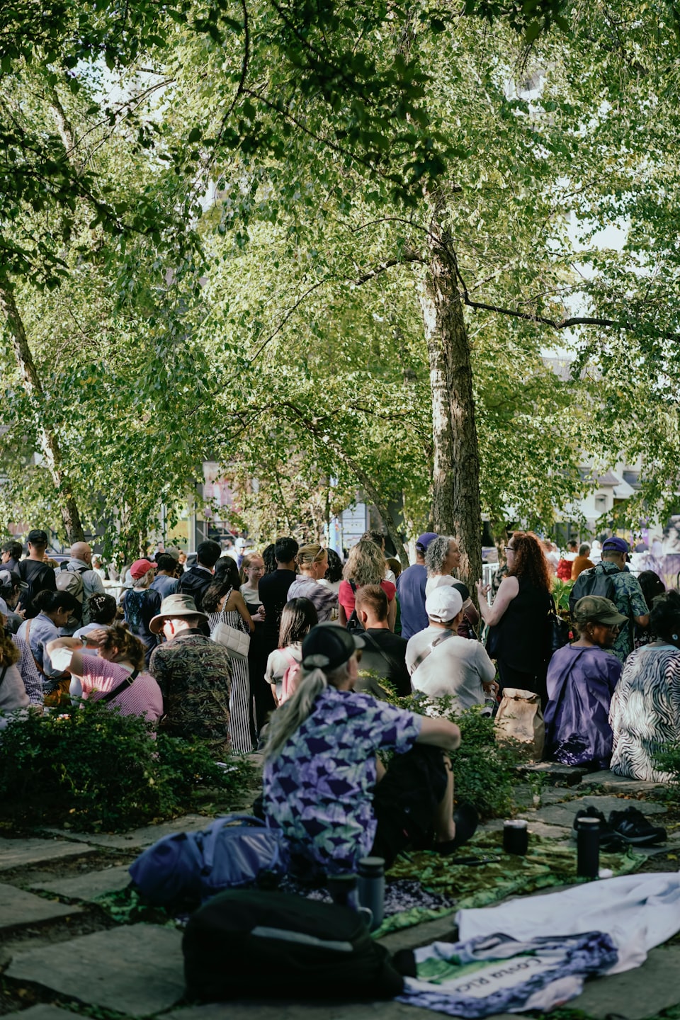 People sit on the grass beneath trees in a park.