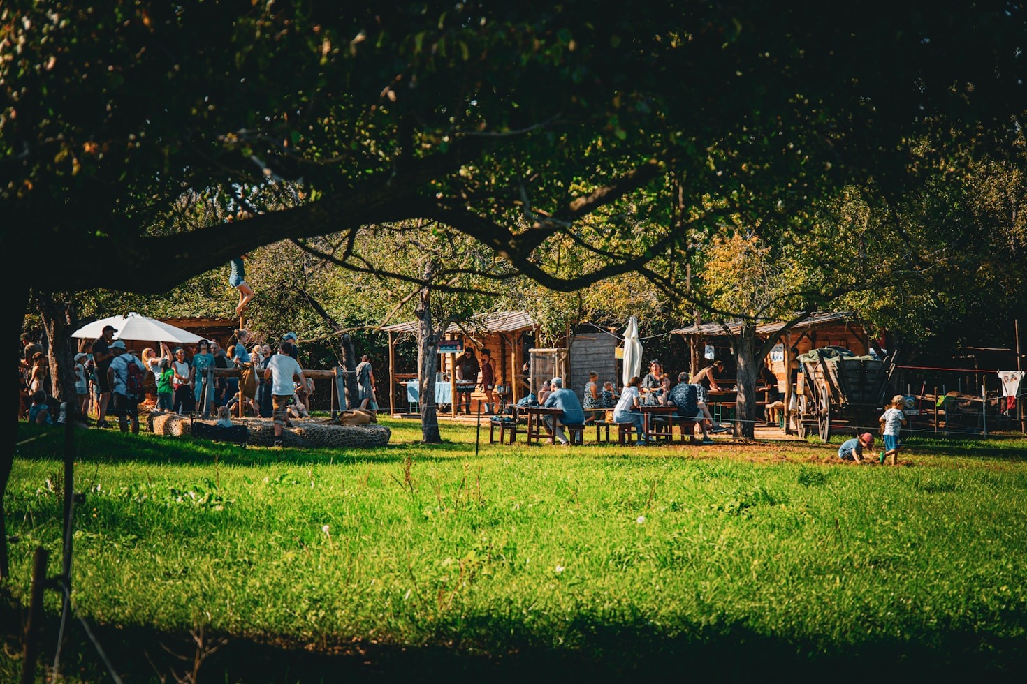 How Community Green Spaces Bring Neighbors Together